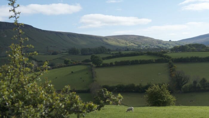 The of County Antrim.